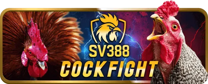 Thưởng sinh nhật và VIP 566win