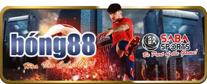 Mẹo cá cược thể thao 566win